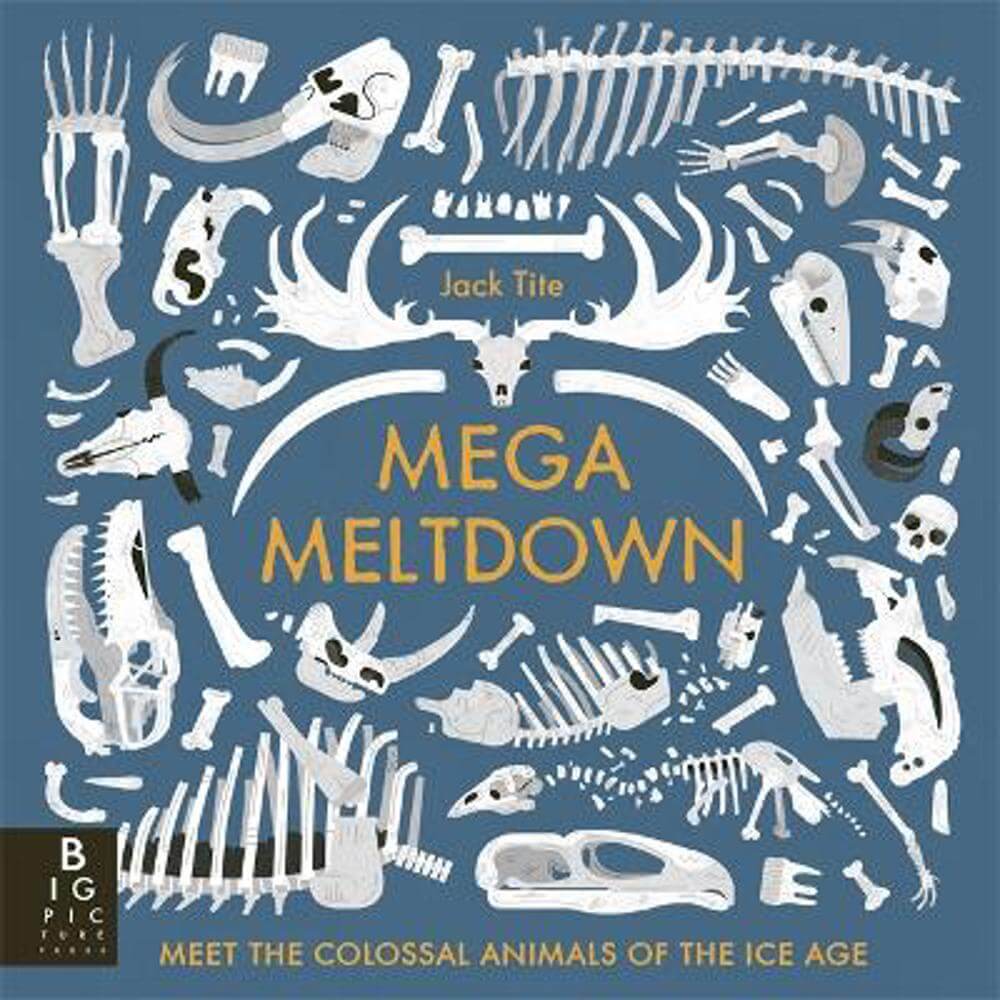 Mega Meltdown (Paperback) - Jack Tite